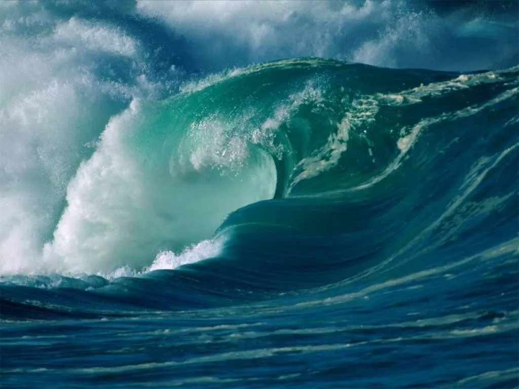 section image